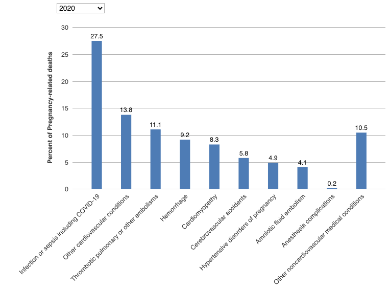 Bar graph showing the causes of pregnancy related deaths in the US for 2020